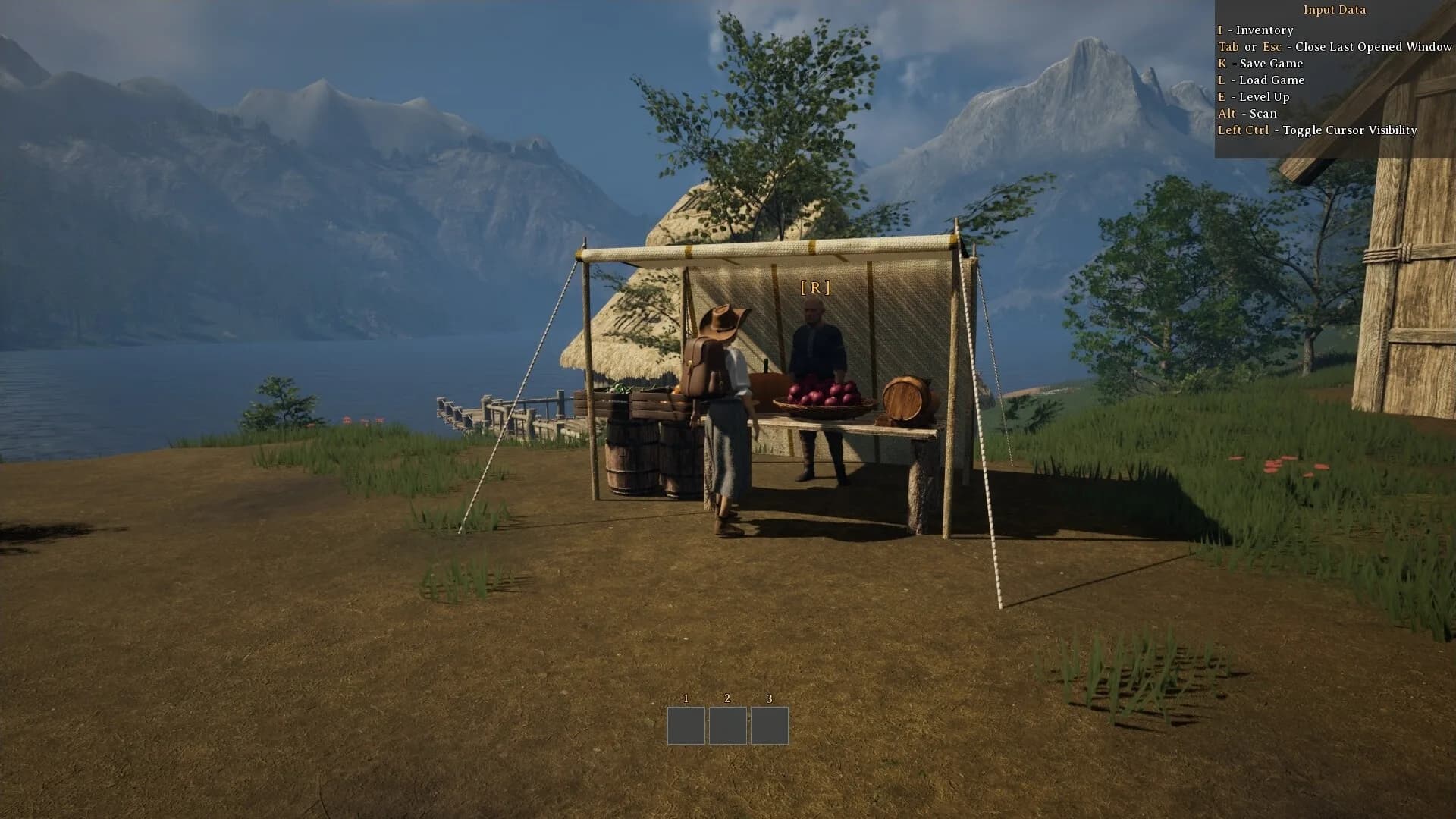 The Wandering Trader görsel 8