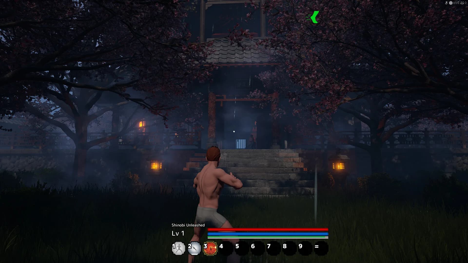 Shinobi Unleashed görsel 10