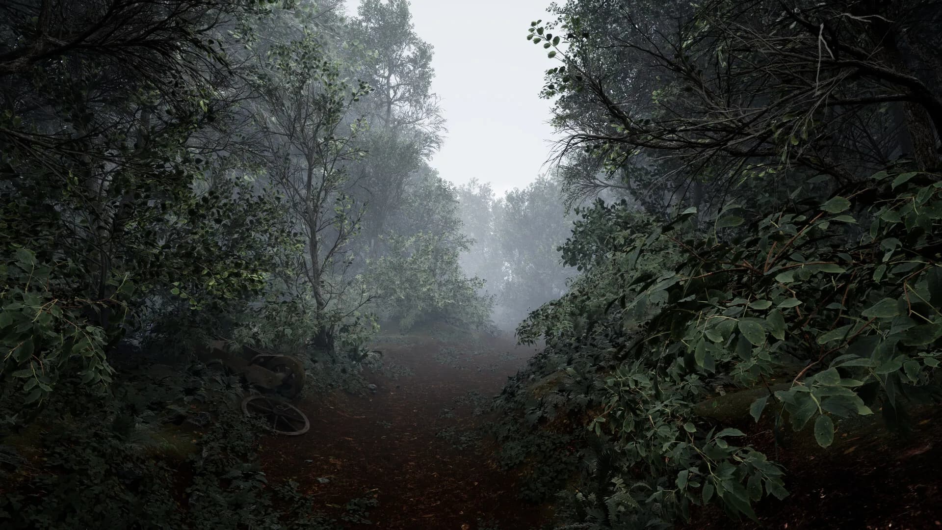 TheLostWoods / 迷いの森 görsel 2