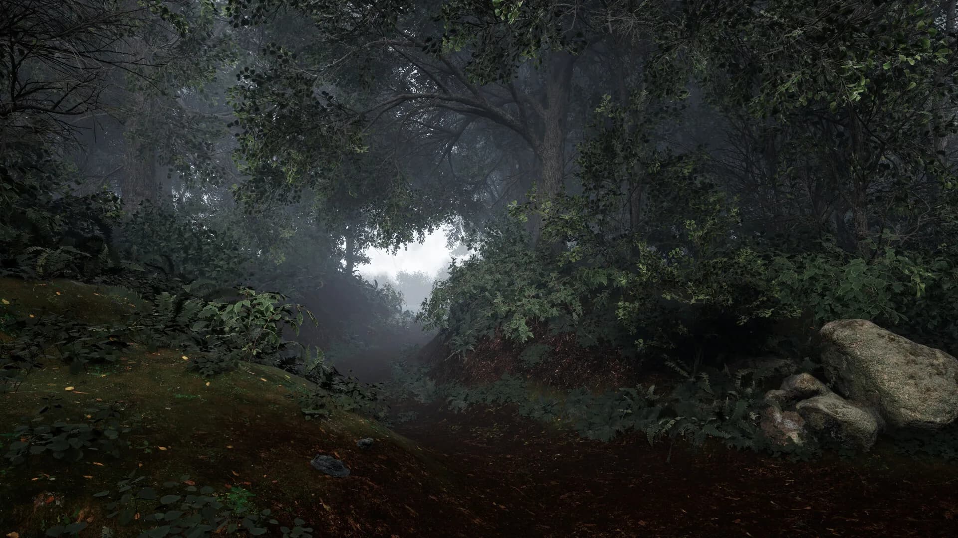 TheLostWoods / 迷いの森 görsel 3
