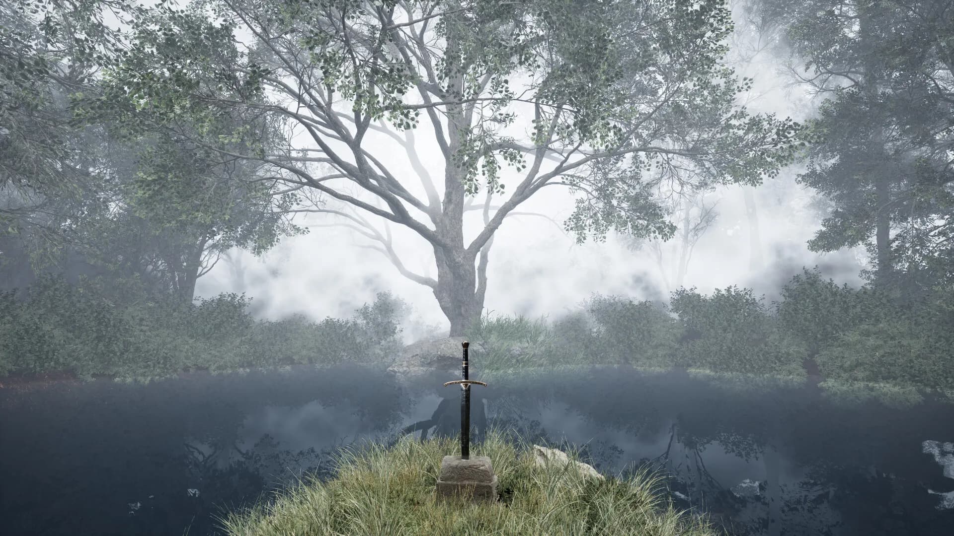 TheLostWoods / 迷いの森 görsel 5