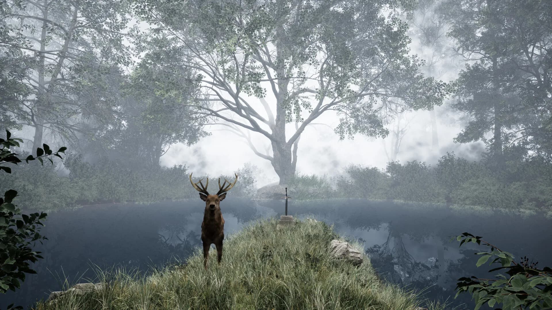 TheLostWoods / 迷いの森 görsel 6