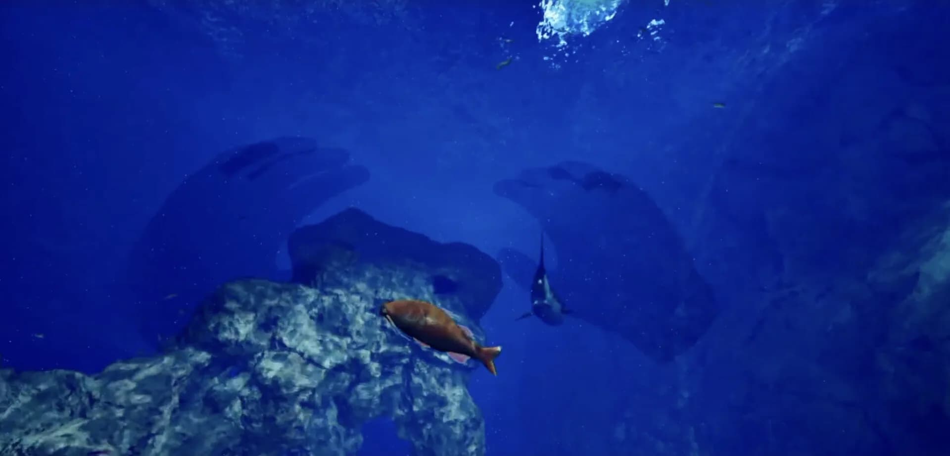 ８月３２日の水族館VR görsel 3
