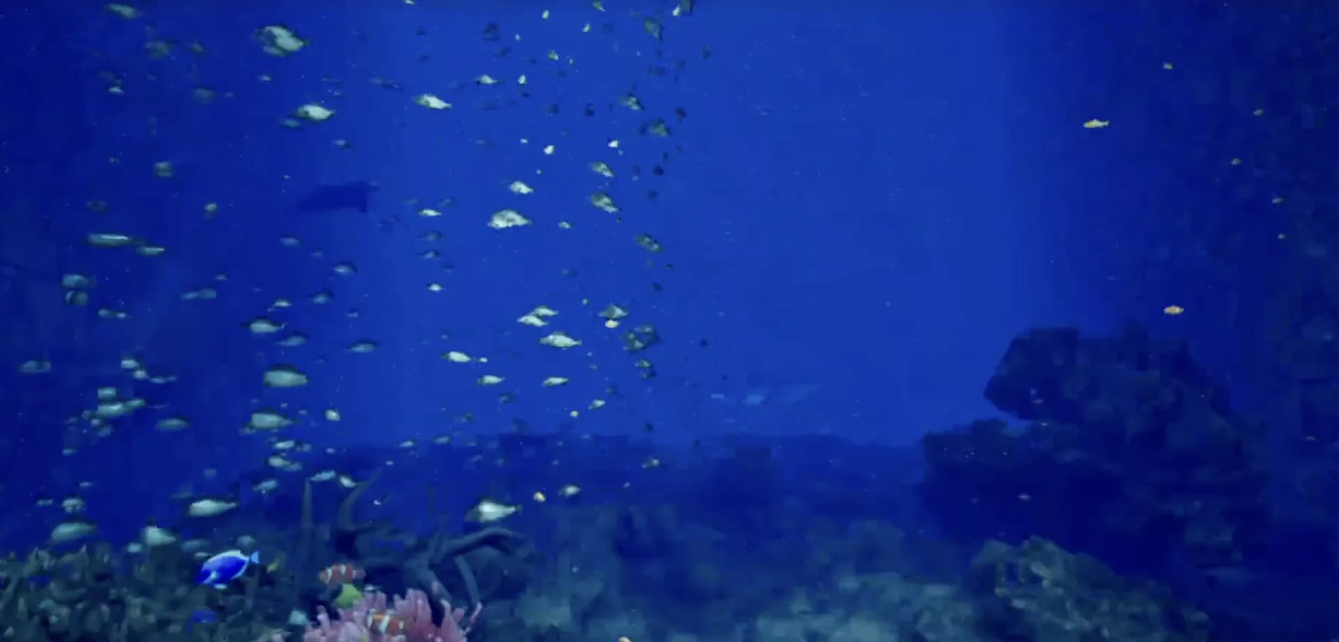 ８月３２日の水族館VR görsel 5