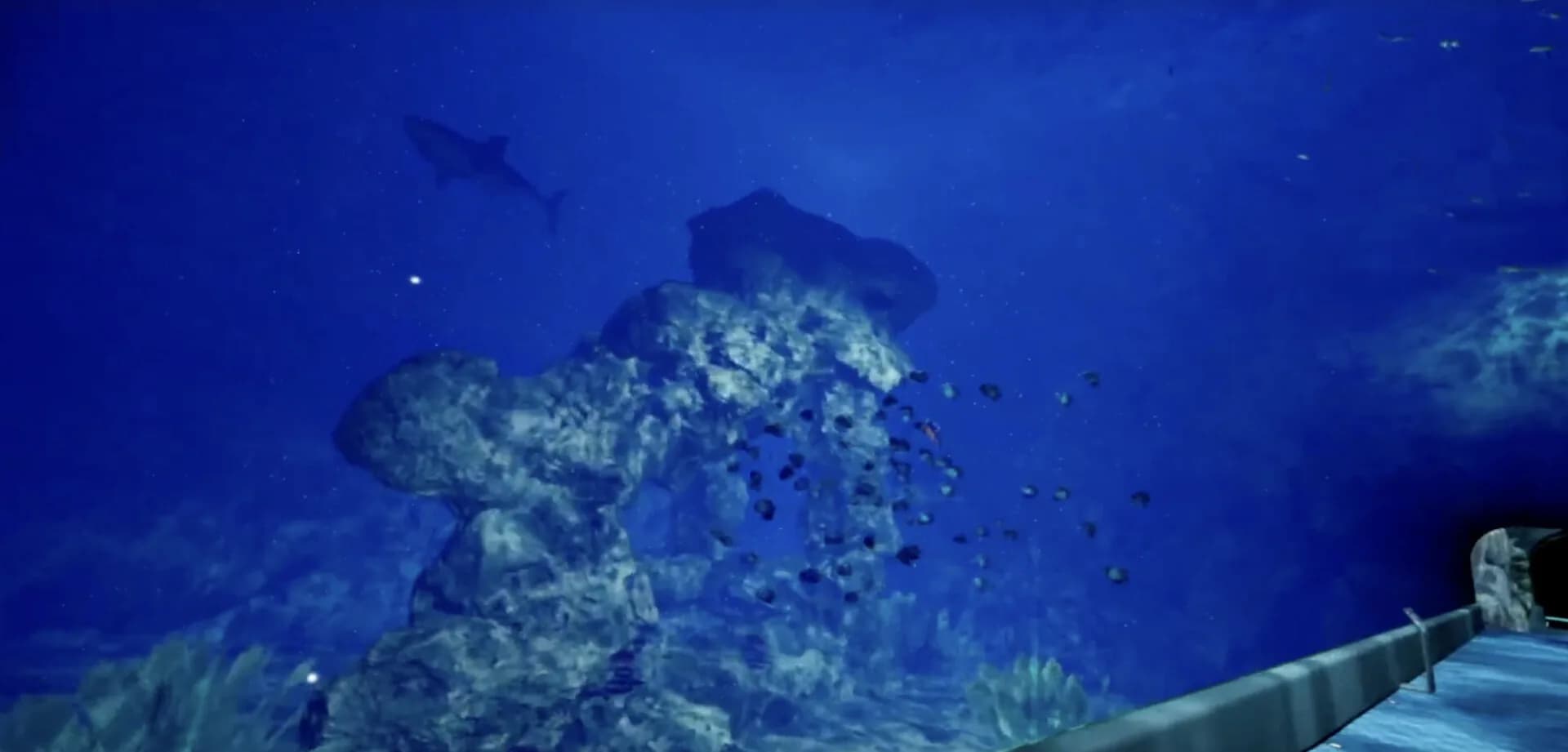８月３２日の水族館VR görsel 6