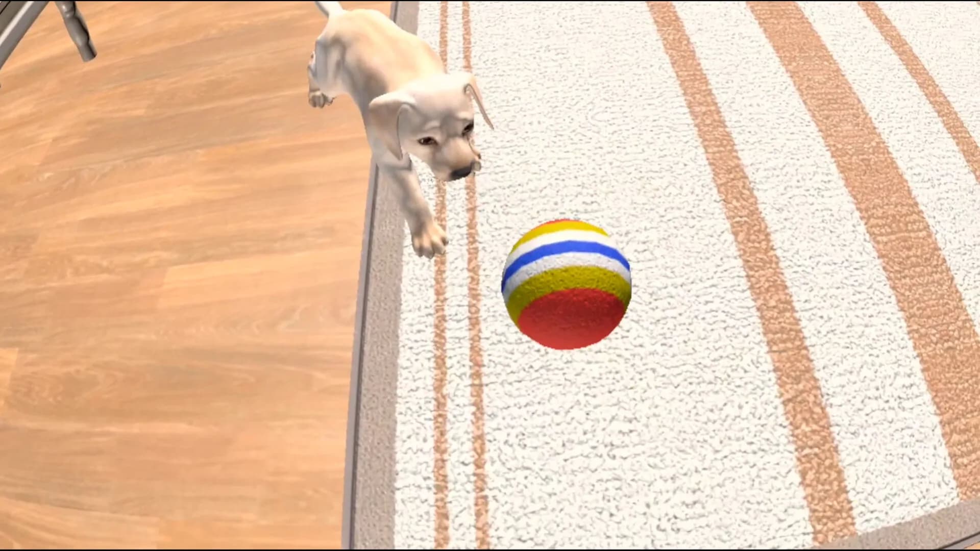 PET TOWN görsel 4