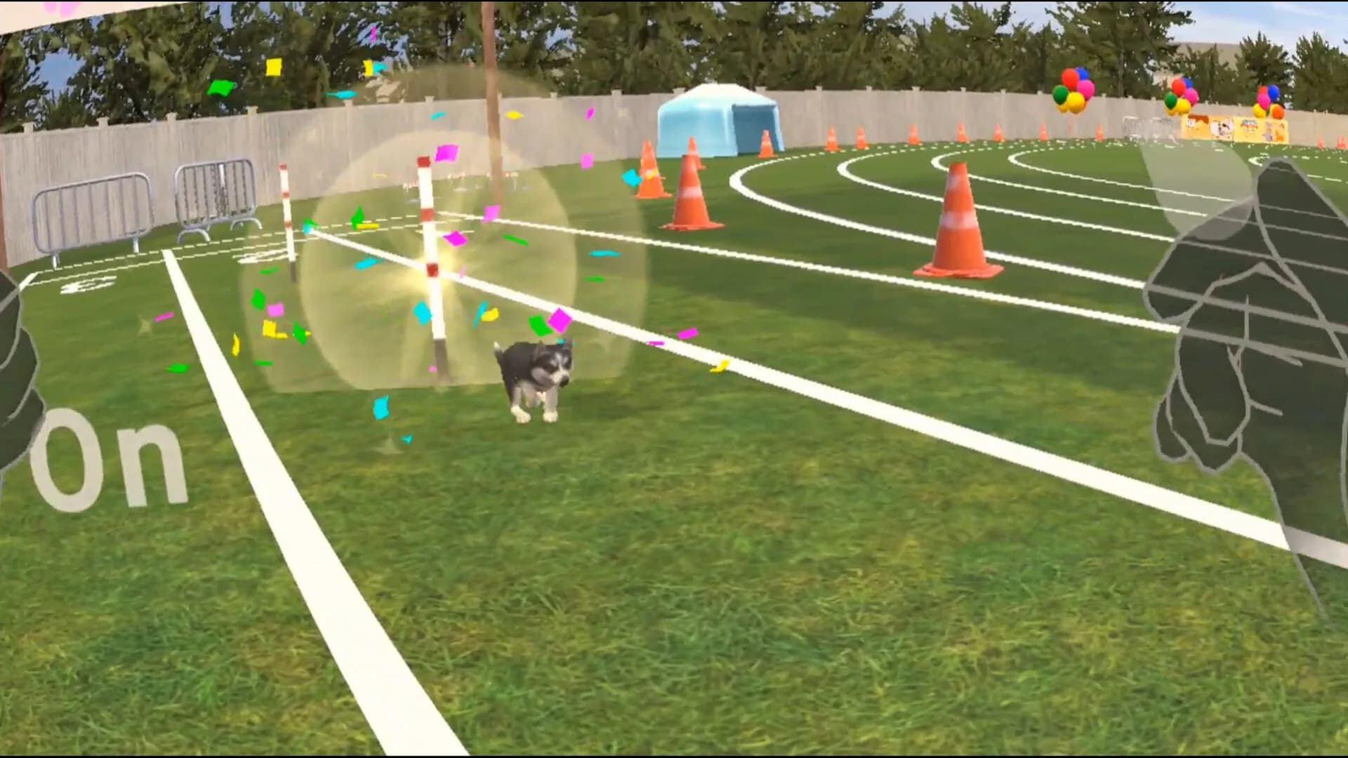 PET TOWN görsel 6
