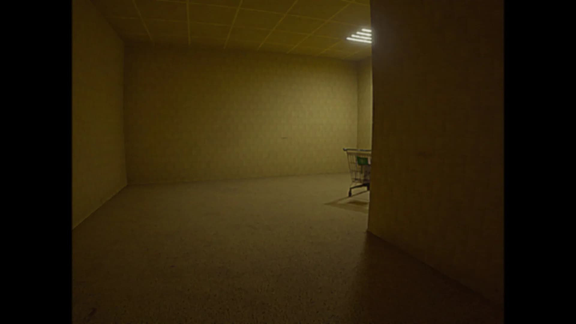 BACKROOMS 0 görsel 4