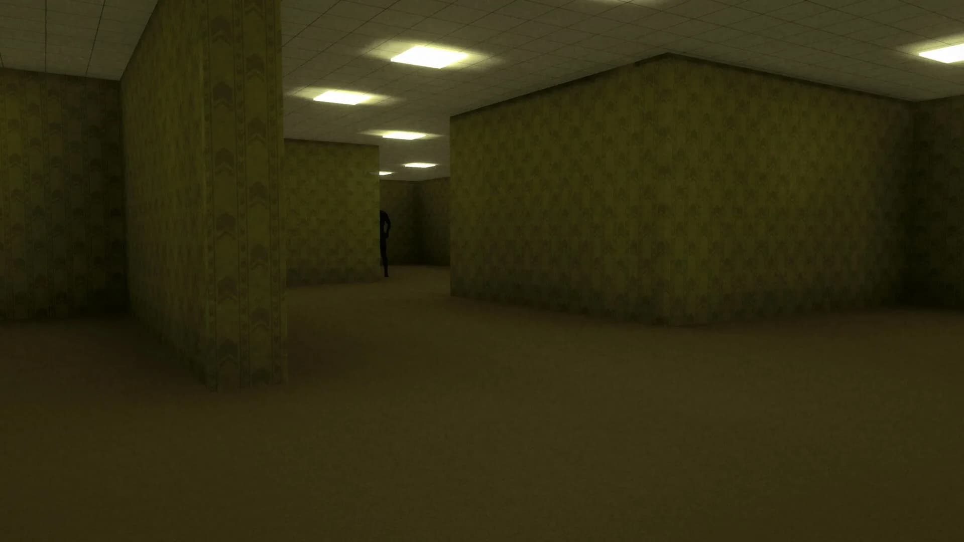Backrooms Level X görsel 6