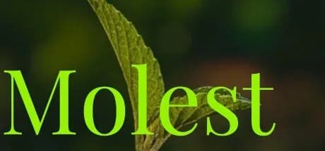 Molest görsel 1