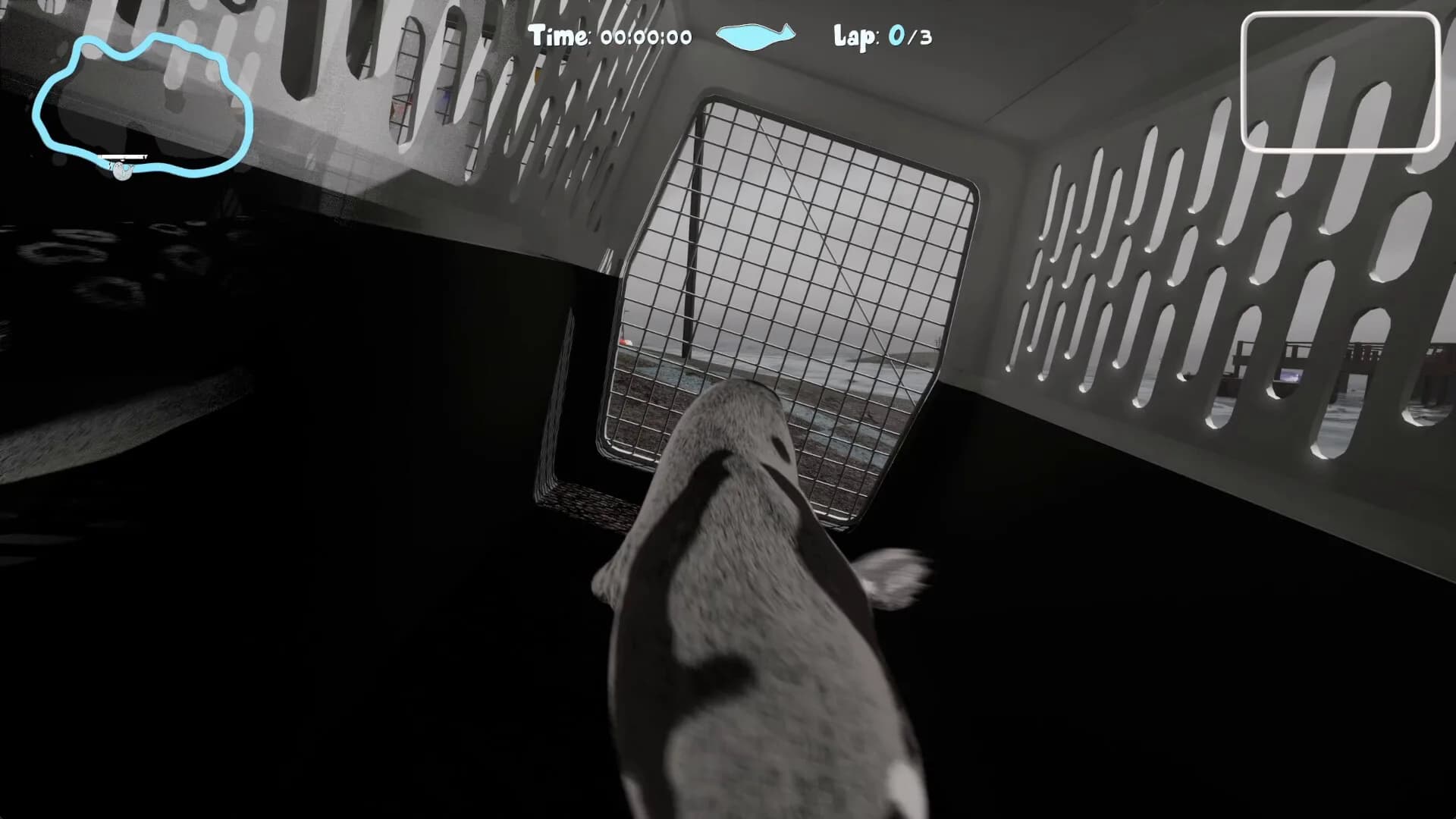 Flipper Frenzy görsel 11