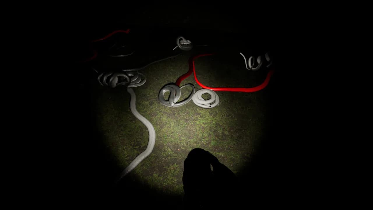 Allophobia görsel 4