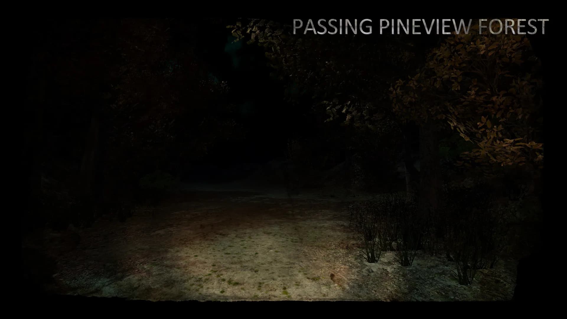 Passing Pineview Forest görsel 2