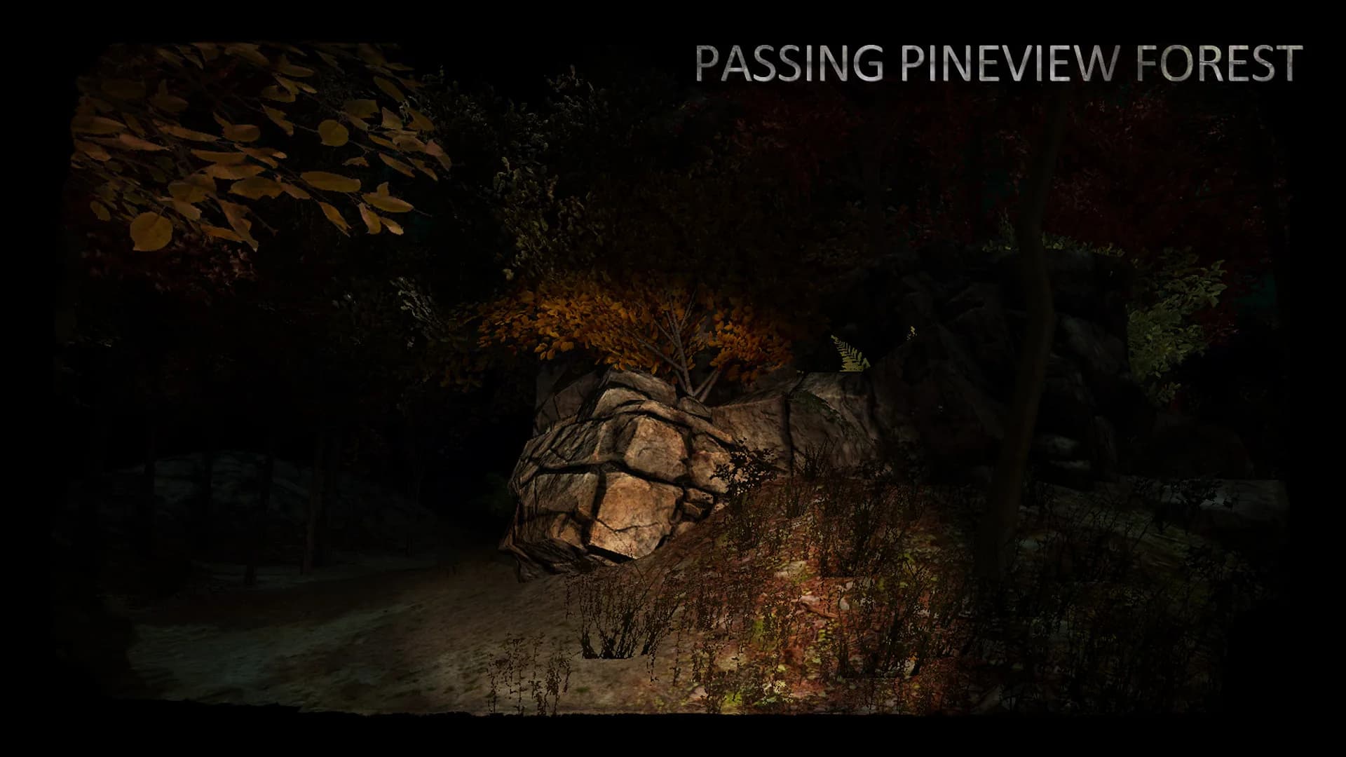 Passing Pineview Forest görsel 6