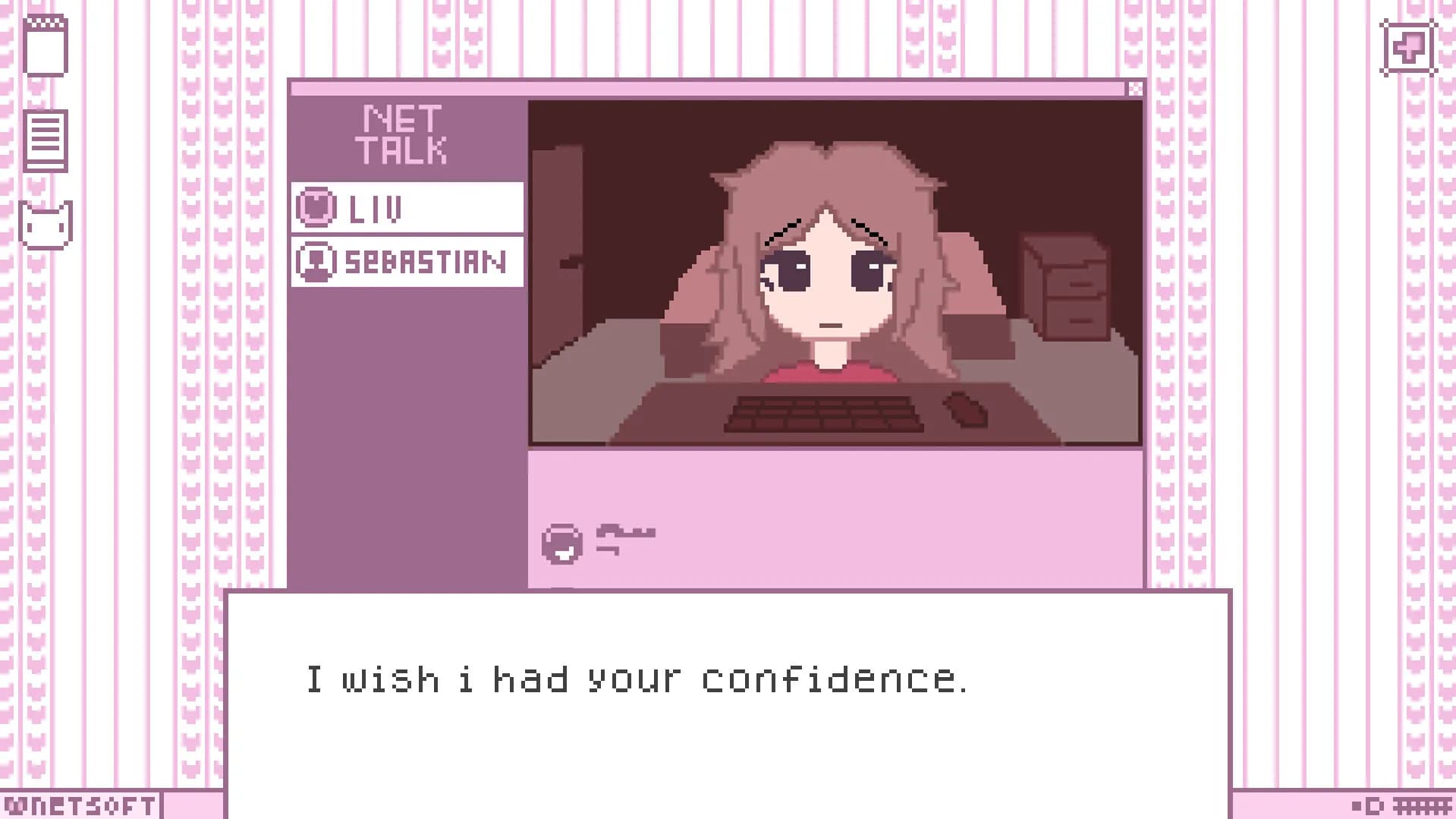 Netveil görsel 6