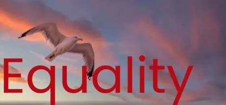 Equality görsel 1