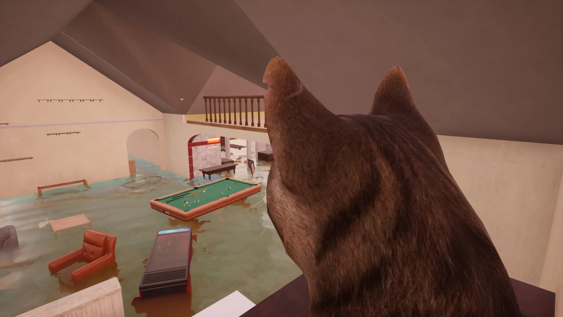 Ninja Cats görsel 7