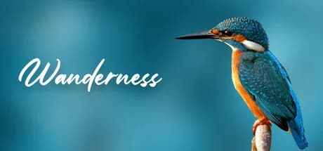 Wanderness
