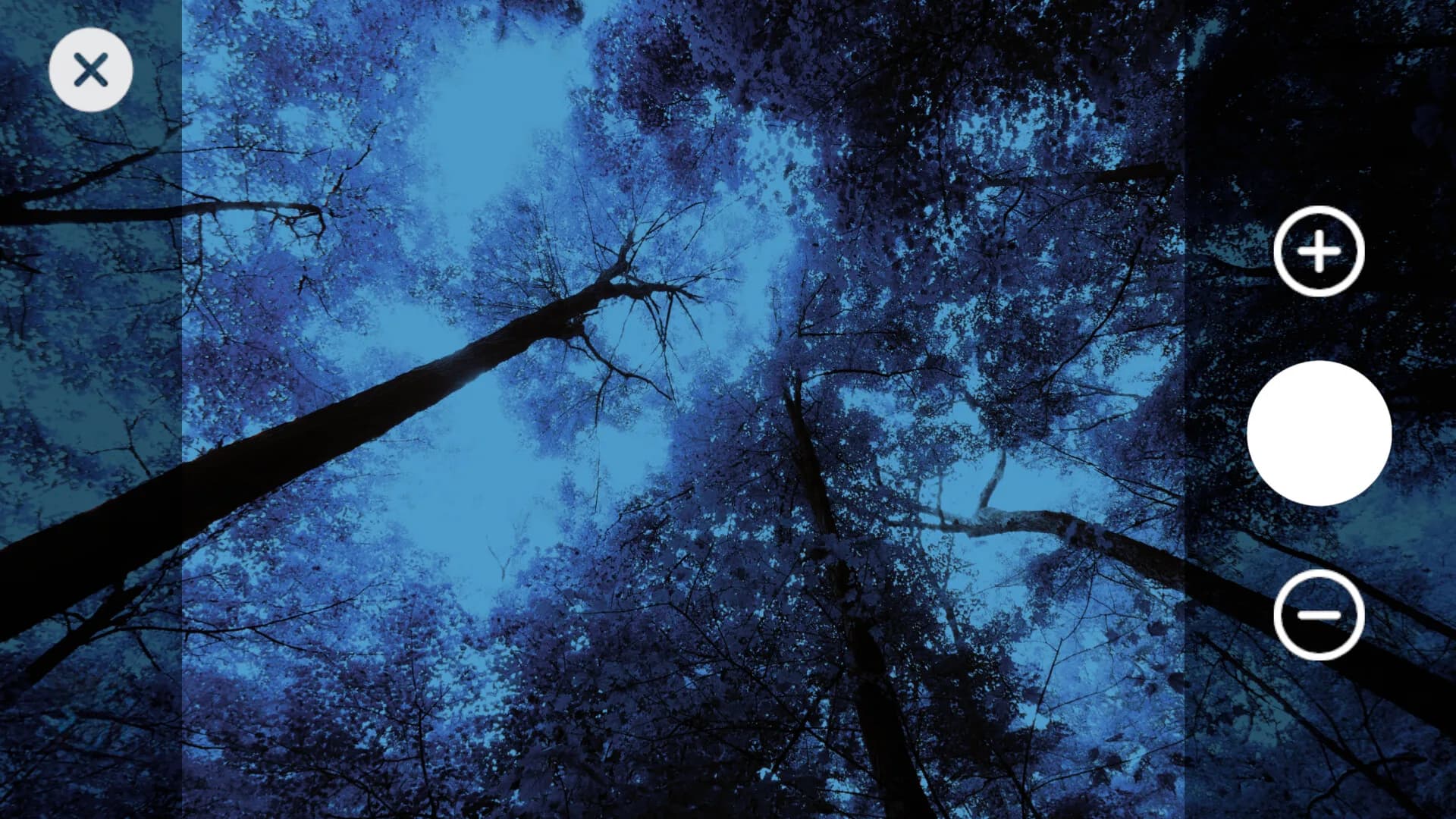 Wanderness görsel 5