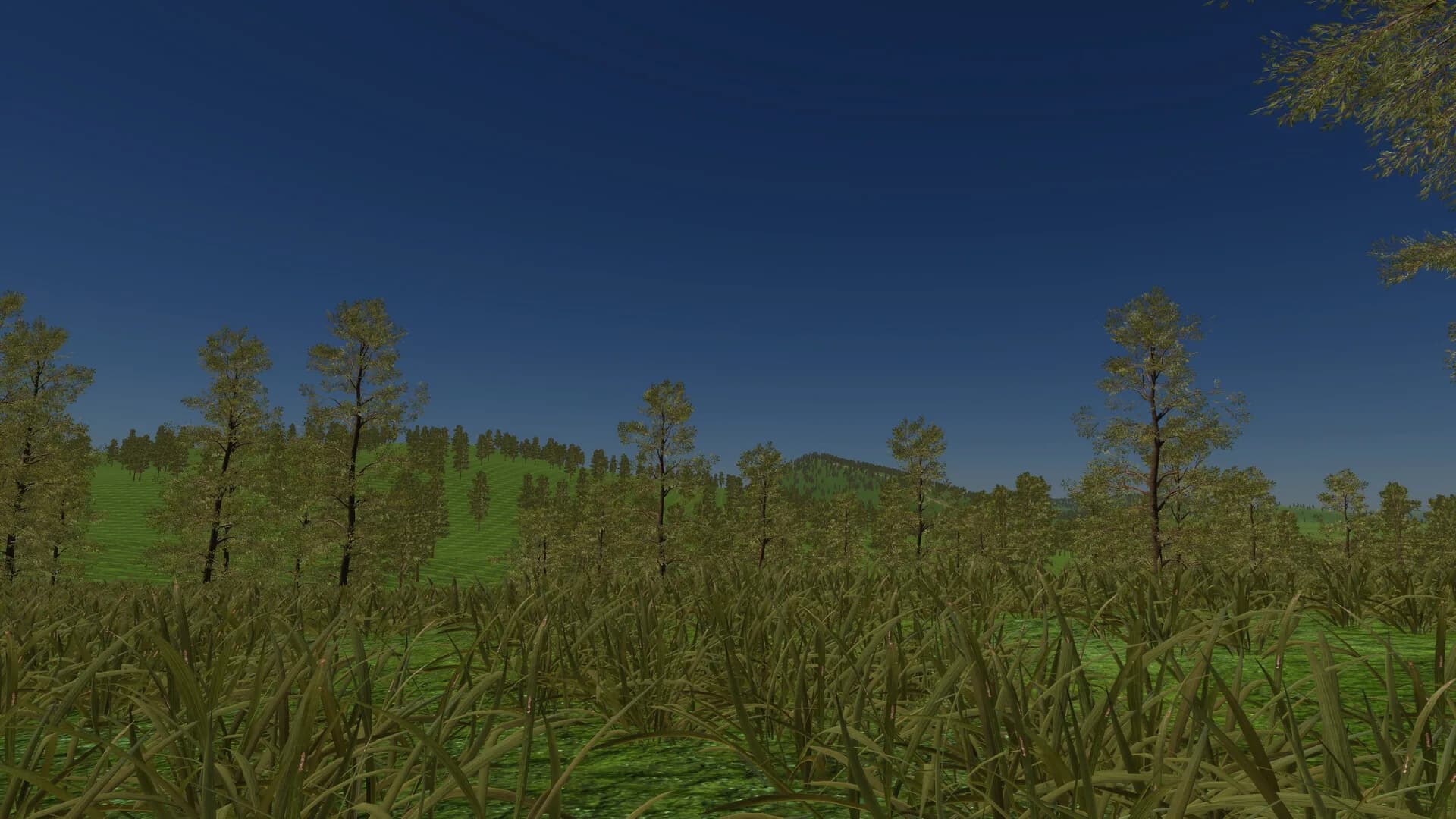Poland Car Simulator görsel 2
