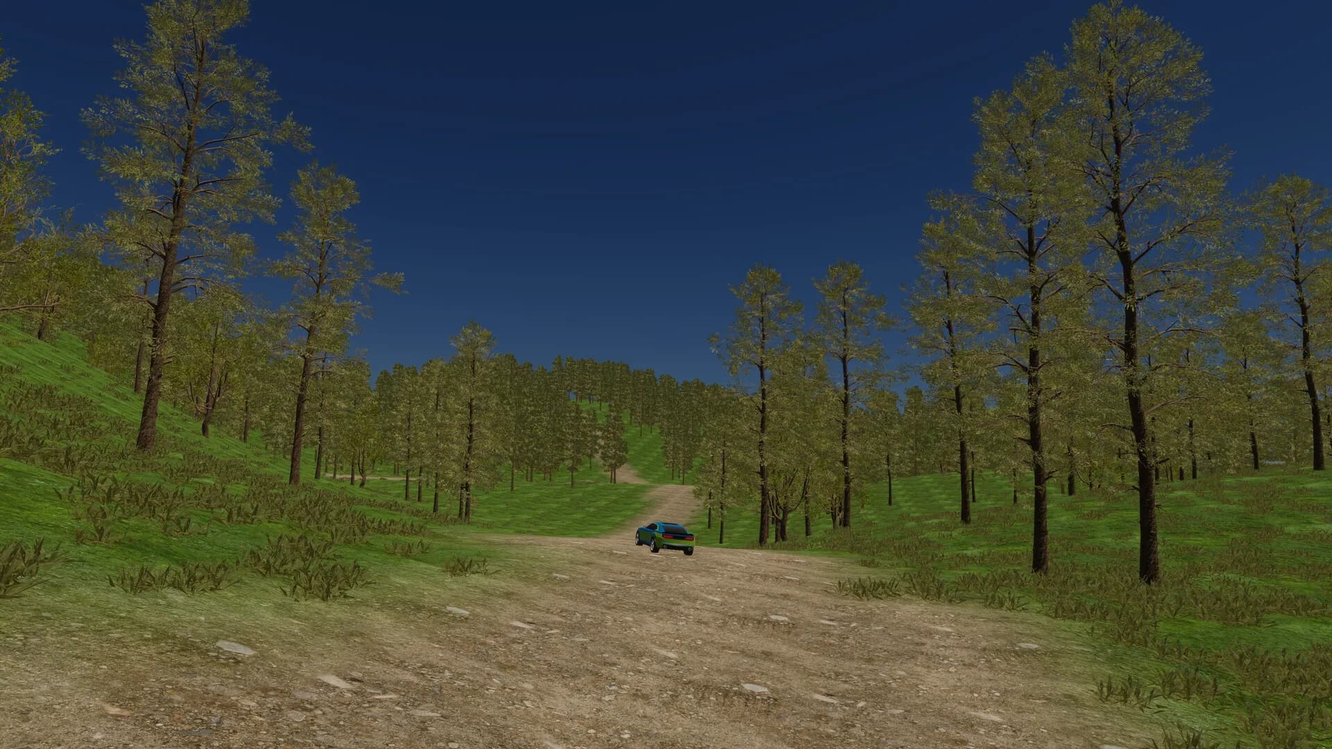 Poland Car Simulator görsel 3