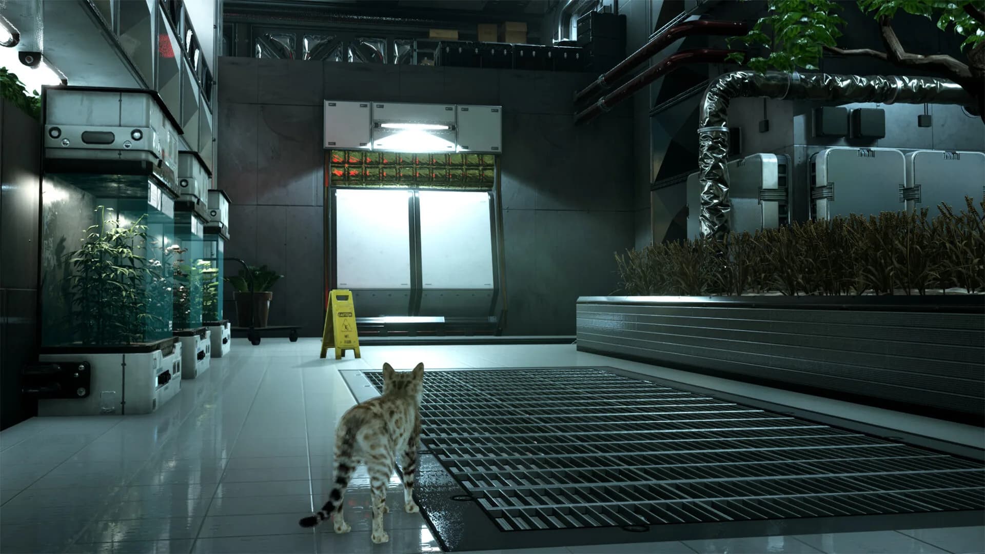 Catfall görsel 3