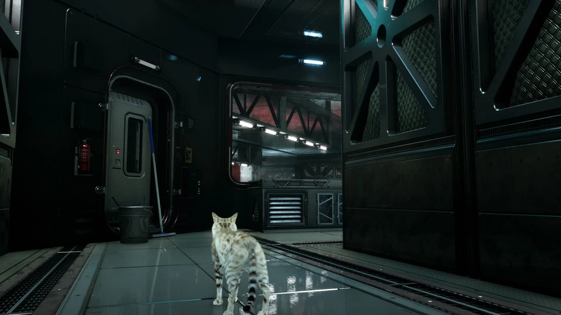 Catfall görsel 11