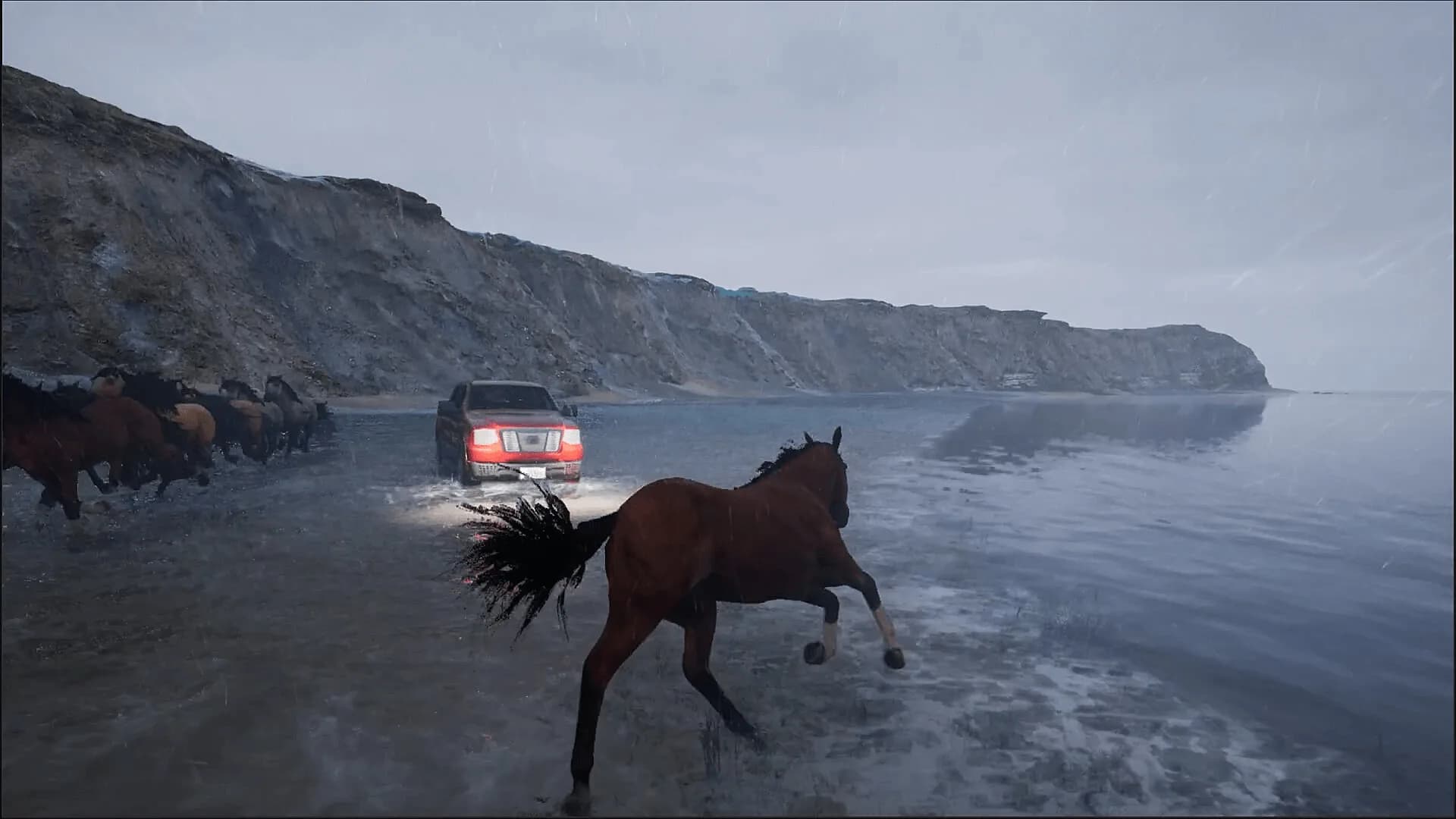 Horse Evolutions görsel 3