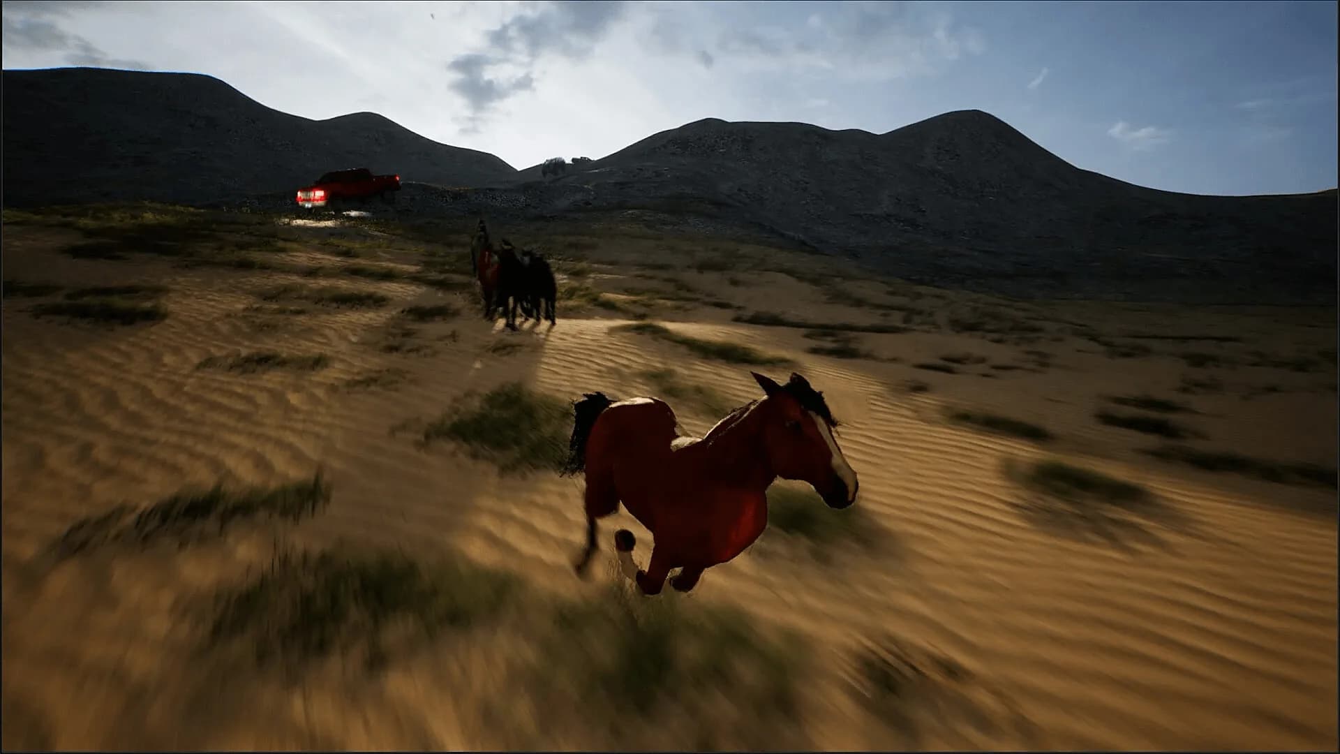 Horse Evolutions görsel 4