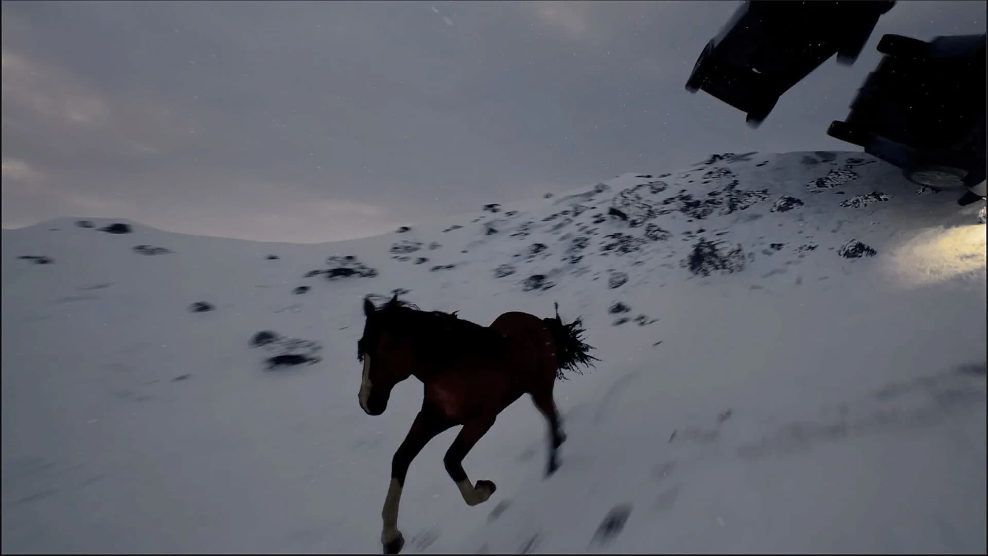 Horse Evolutions görsel 5