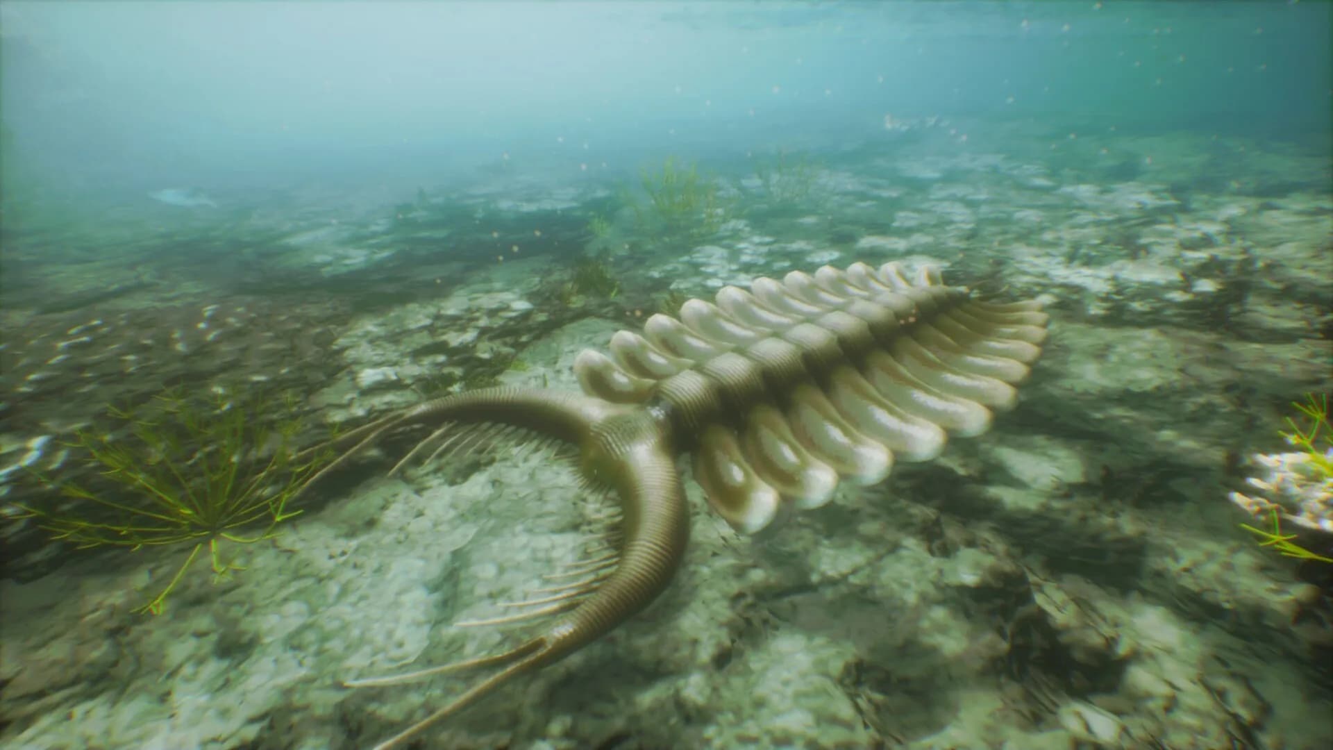 Paleobiome görsel 6