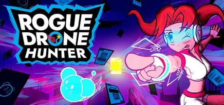 Rogue Drone Hunter
