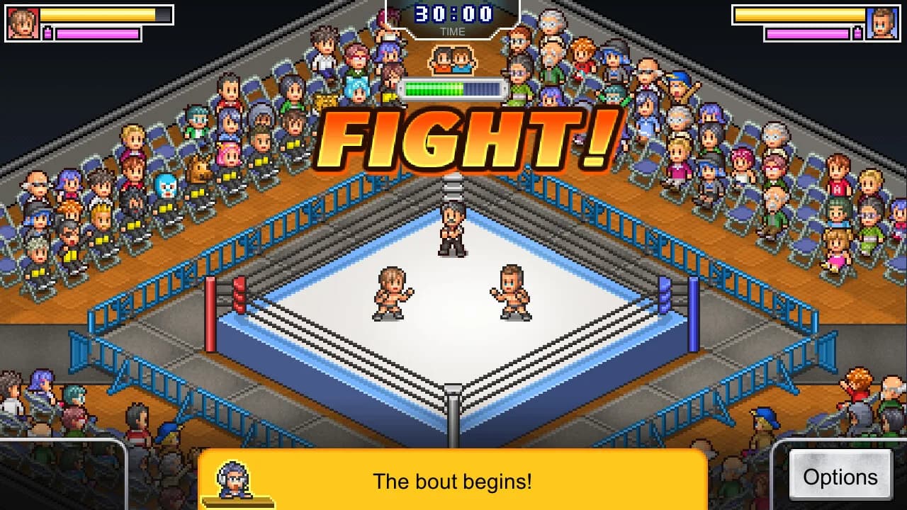 Pro Wrestler Story görsel 3