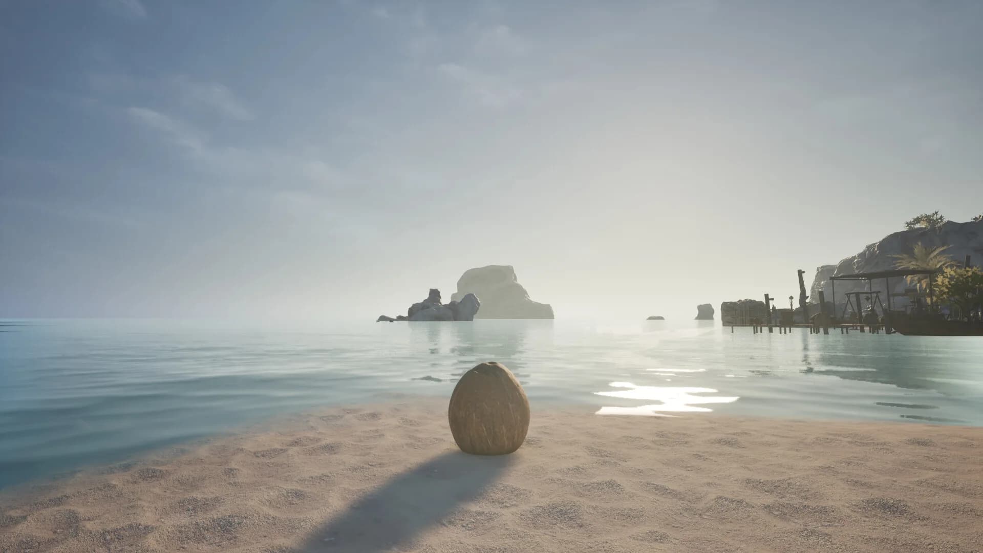 Coconut Simulator görsel 2
