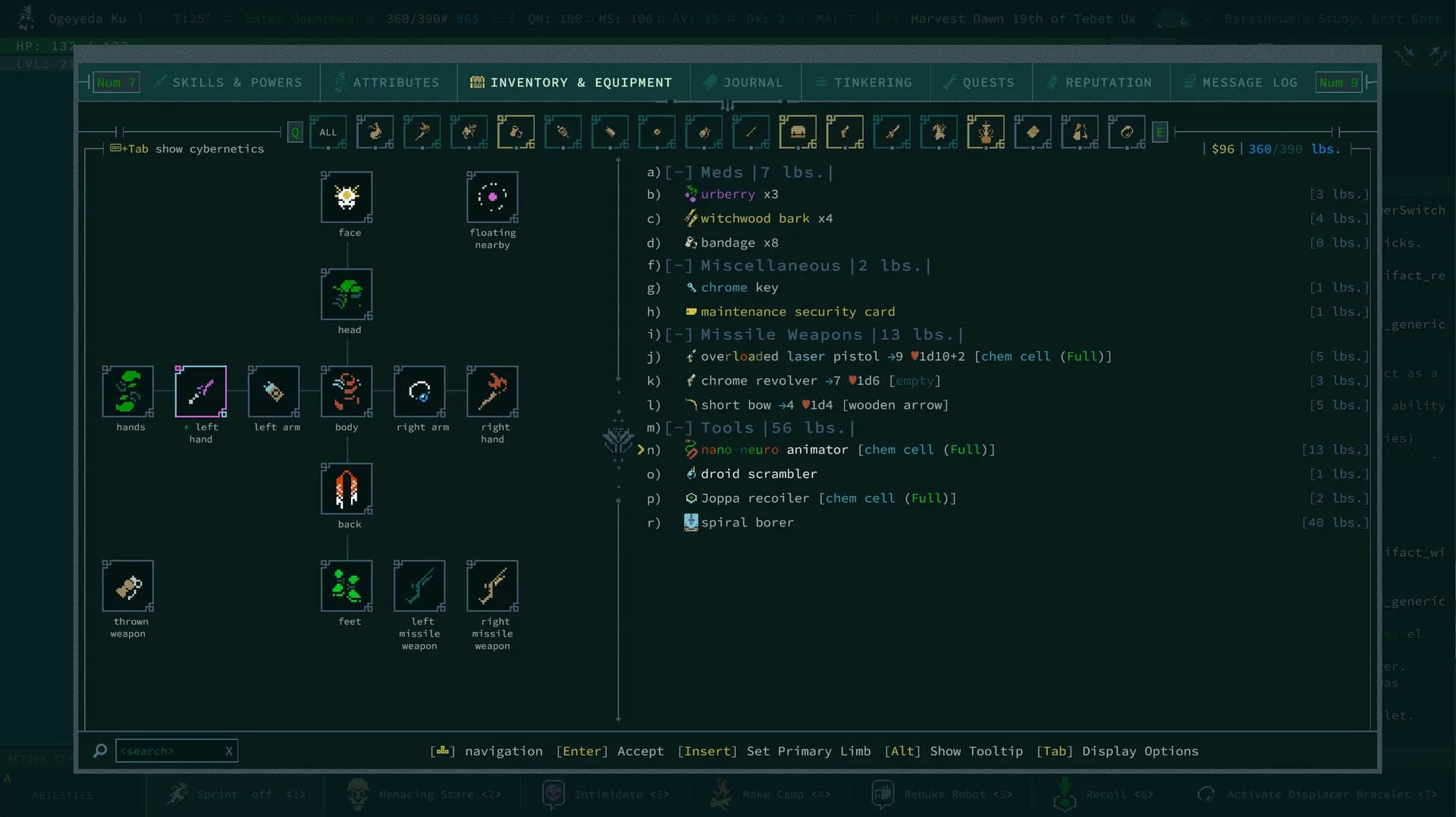 Caves of Qud görsel 3