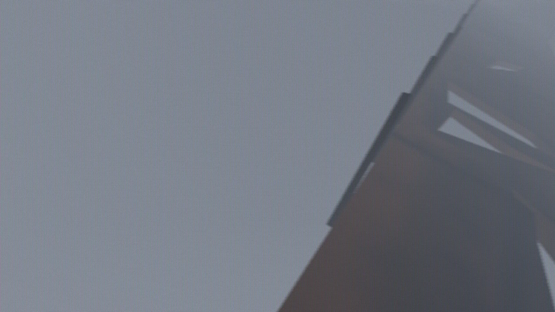 BRIDGE görsel 5