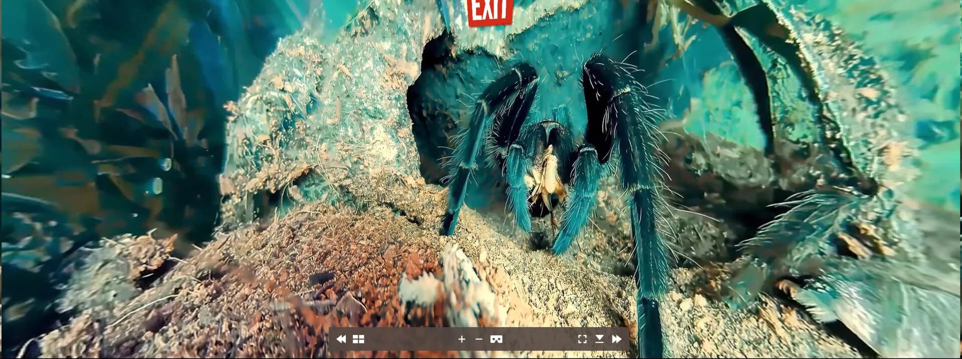 Tony's Creepy Crawly Zoo 2.0 görsel 3
