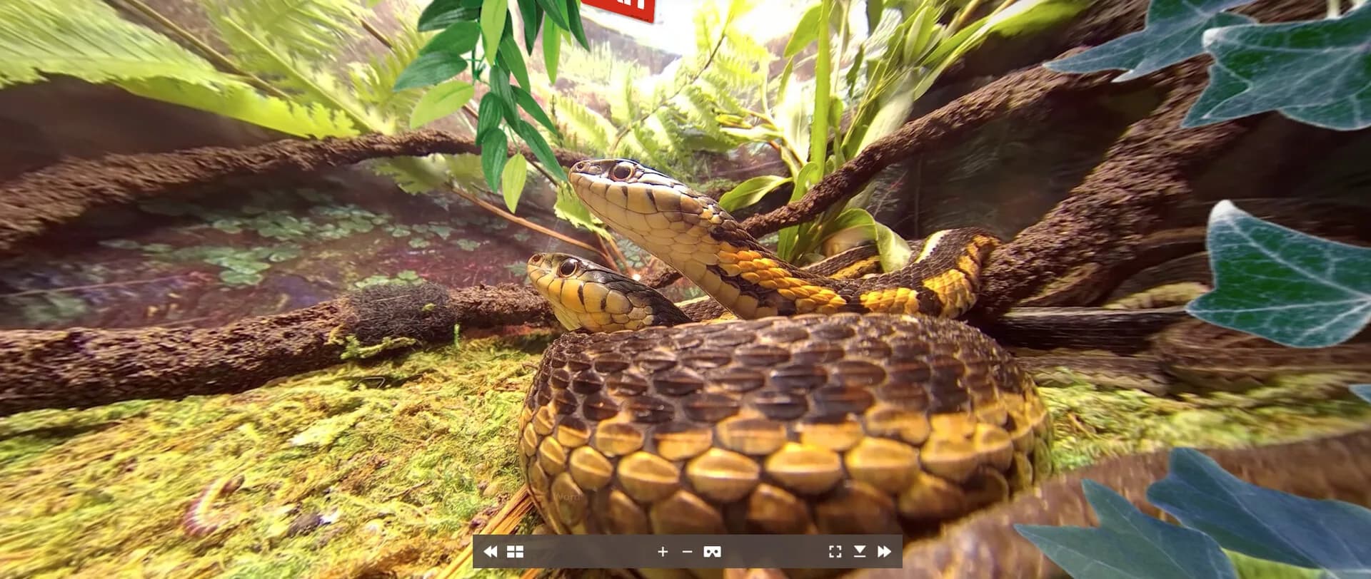 Tony's Creepy Crawly Zoo 2.0 görsel 5