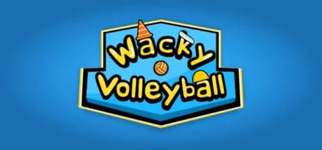 Wacky Volleyball