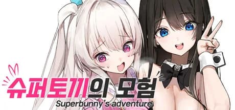 Superbunny's adventure