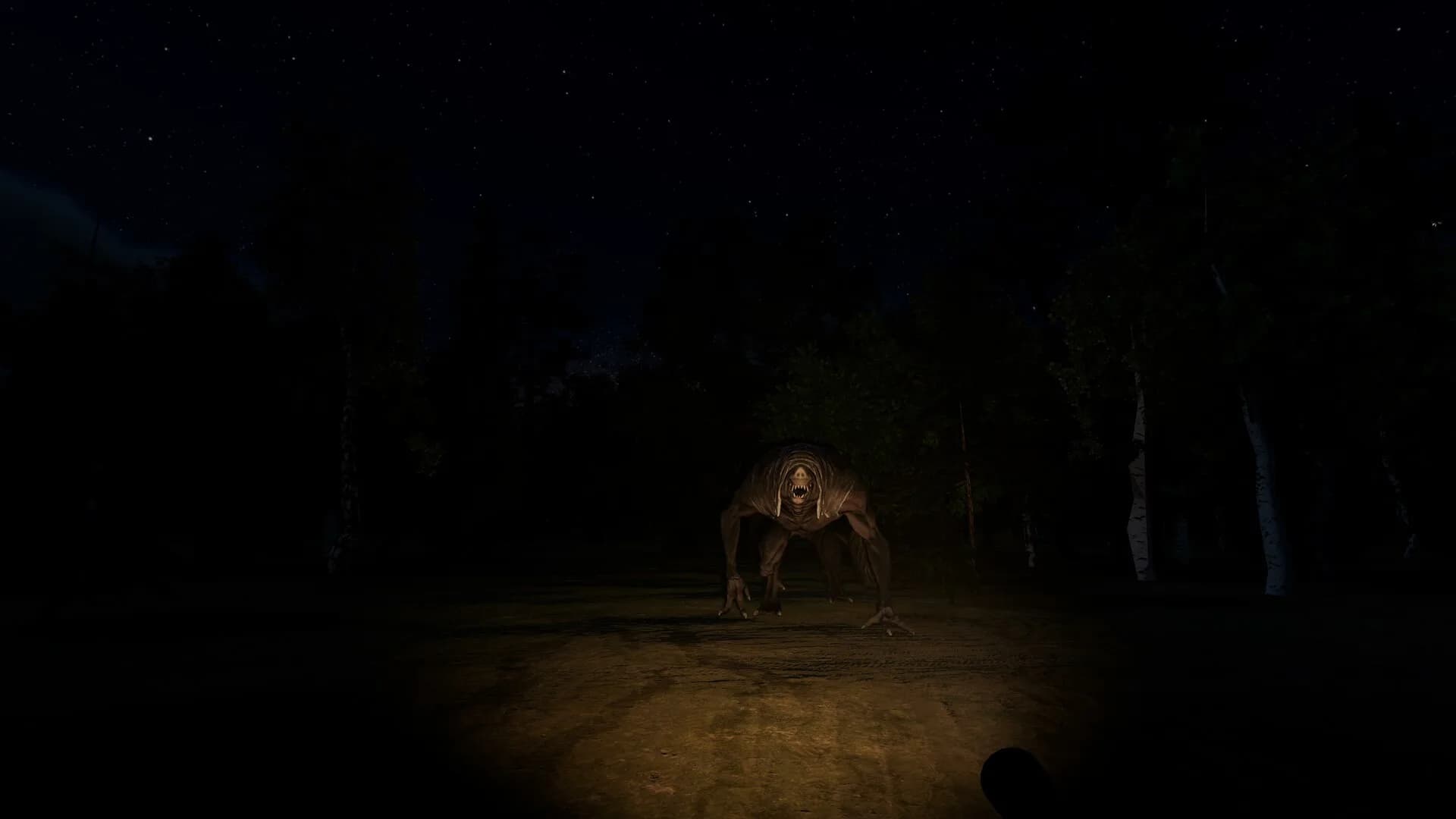 Beware Behind You görsel 4