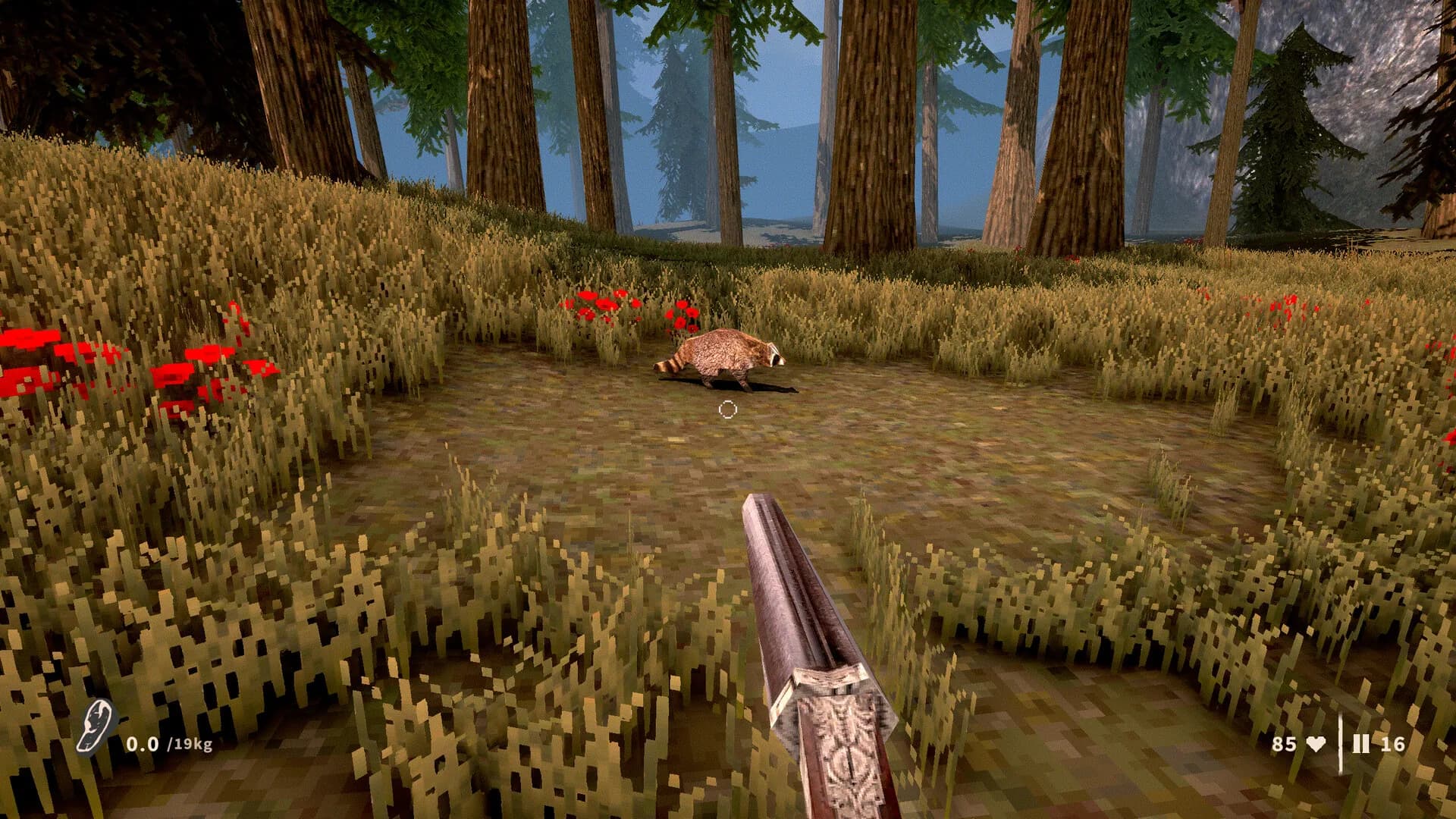 Raccoon Hunter görsel 2