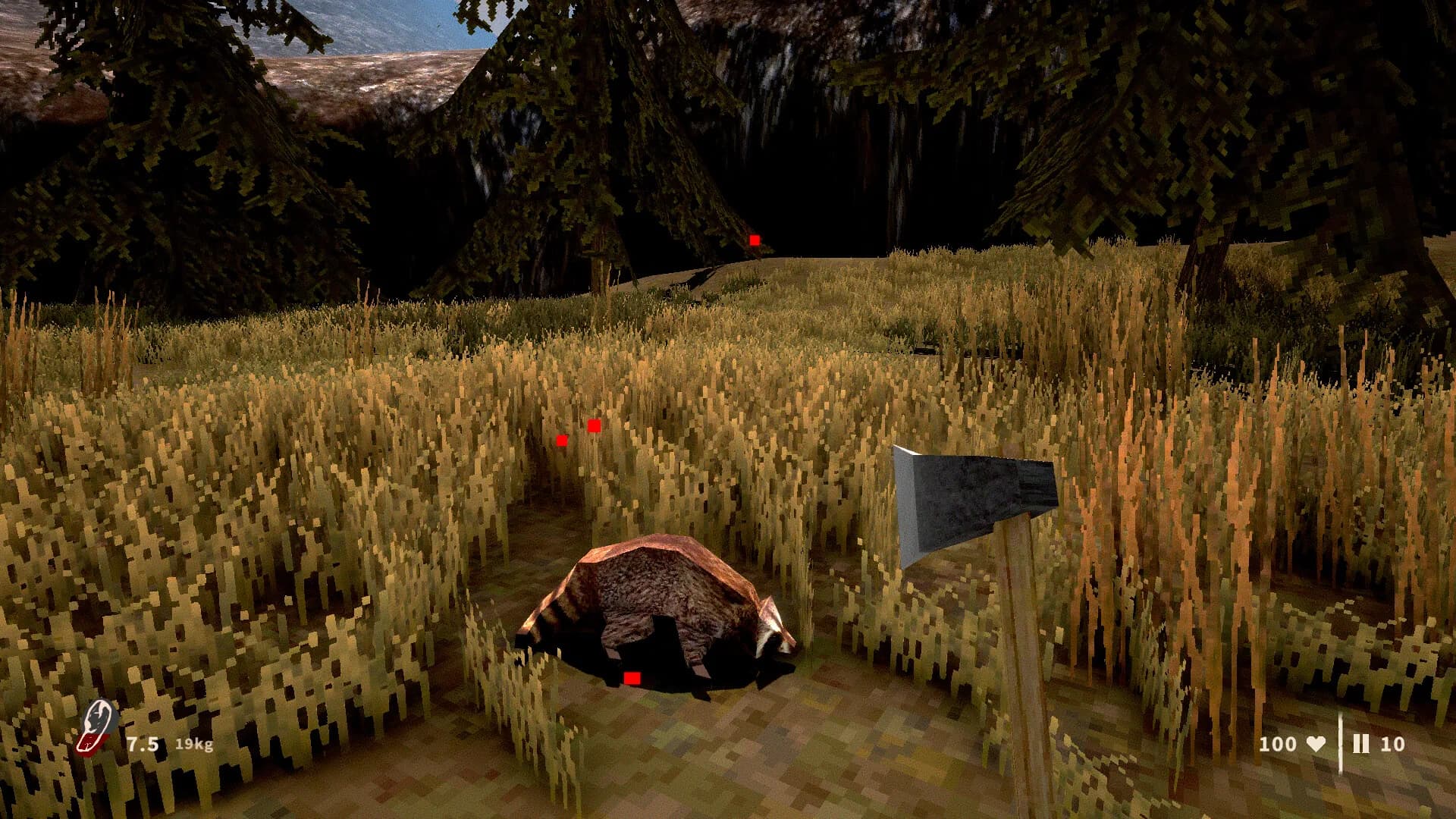 Raccoon Hunter görsel 9