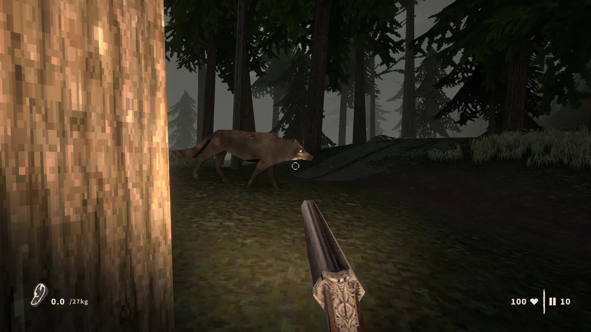 Raccoon Hunter görsel 10