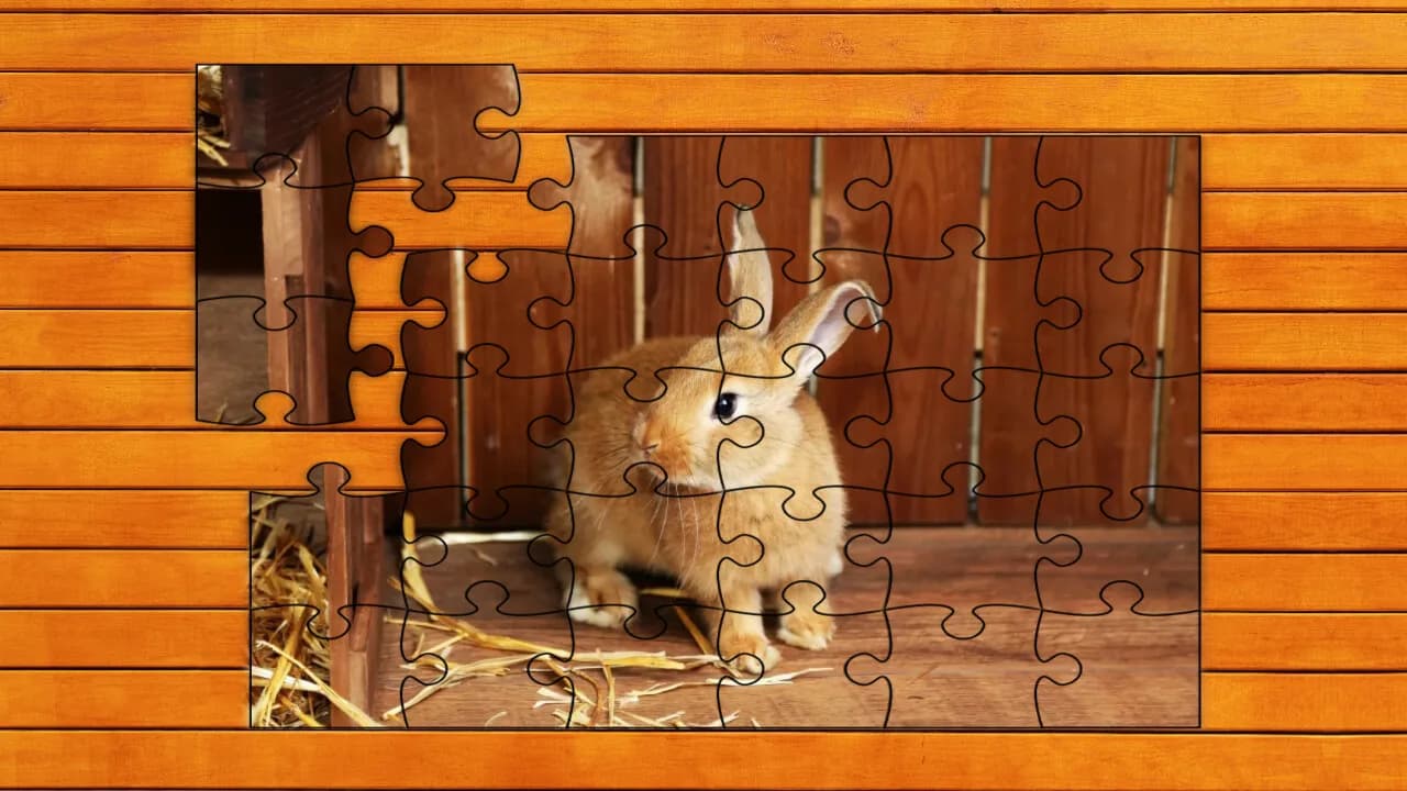 Paw & Hop Jigsaw Quest görsel 5