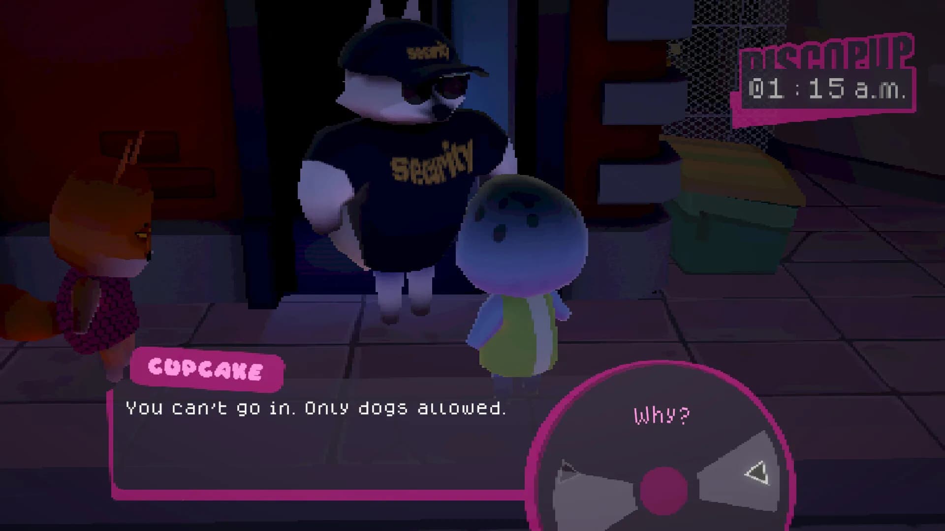 DISCOPUP görsel 2