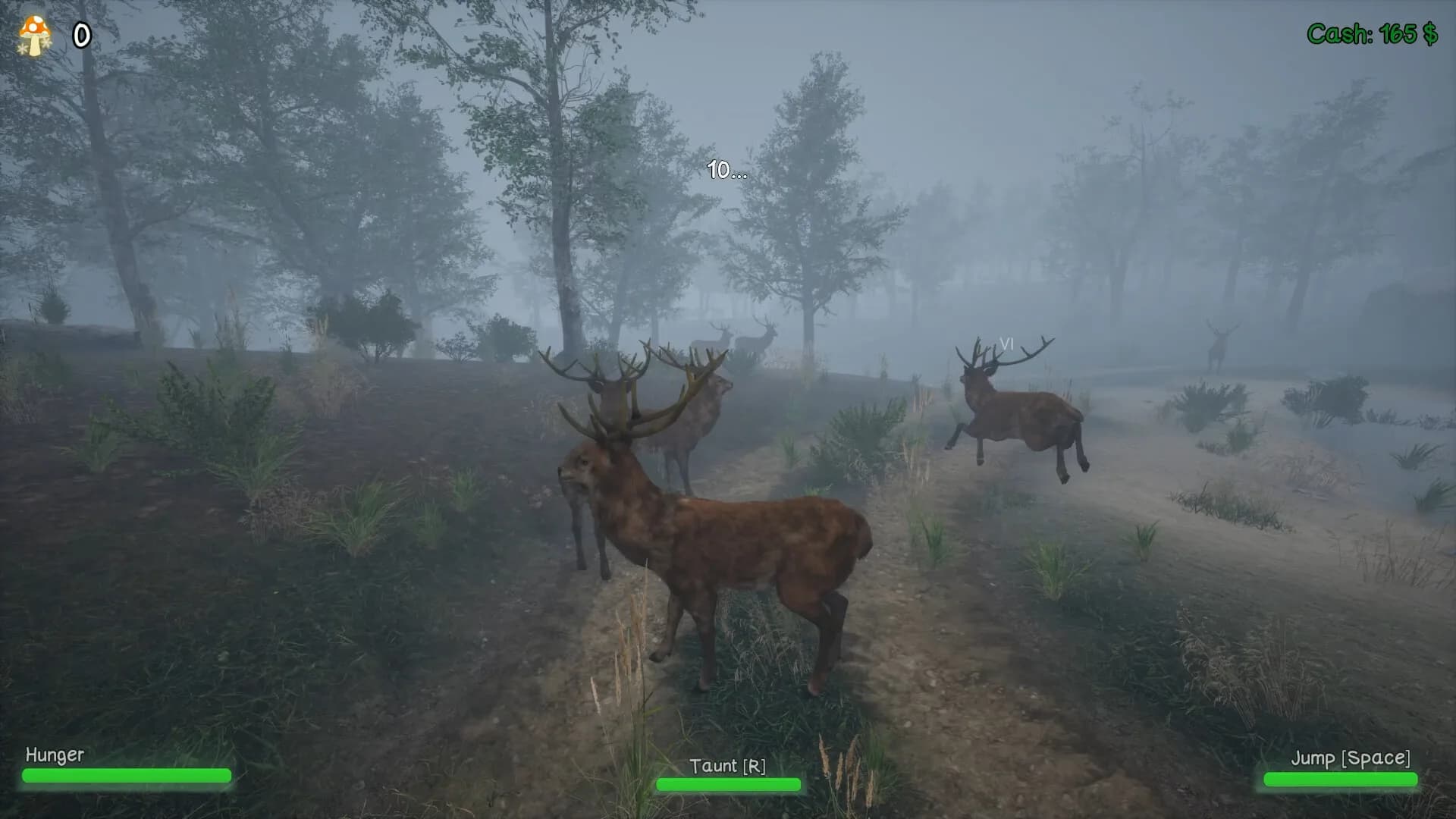 HuntNPrey görsel 2