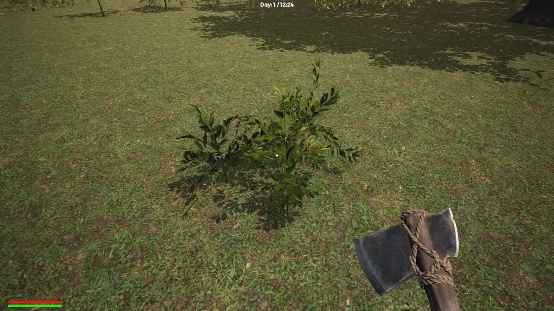 Isla de la Muerte görsel 12