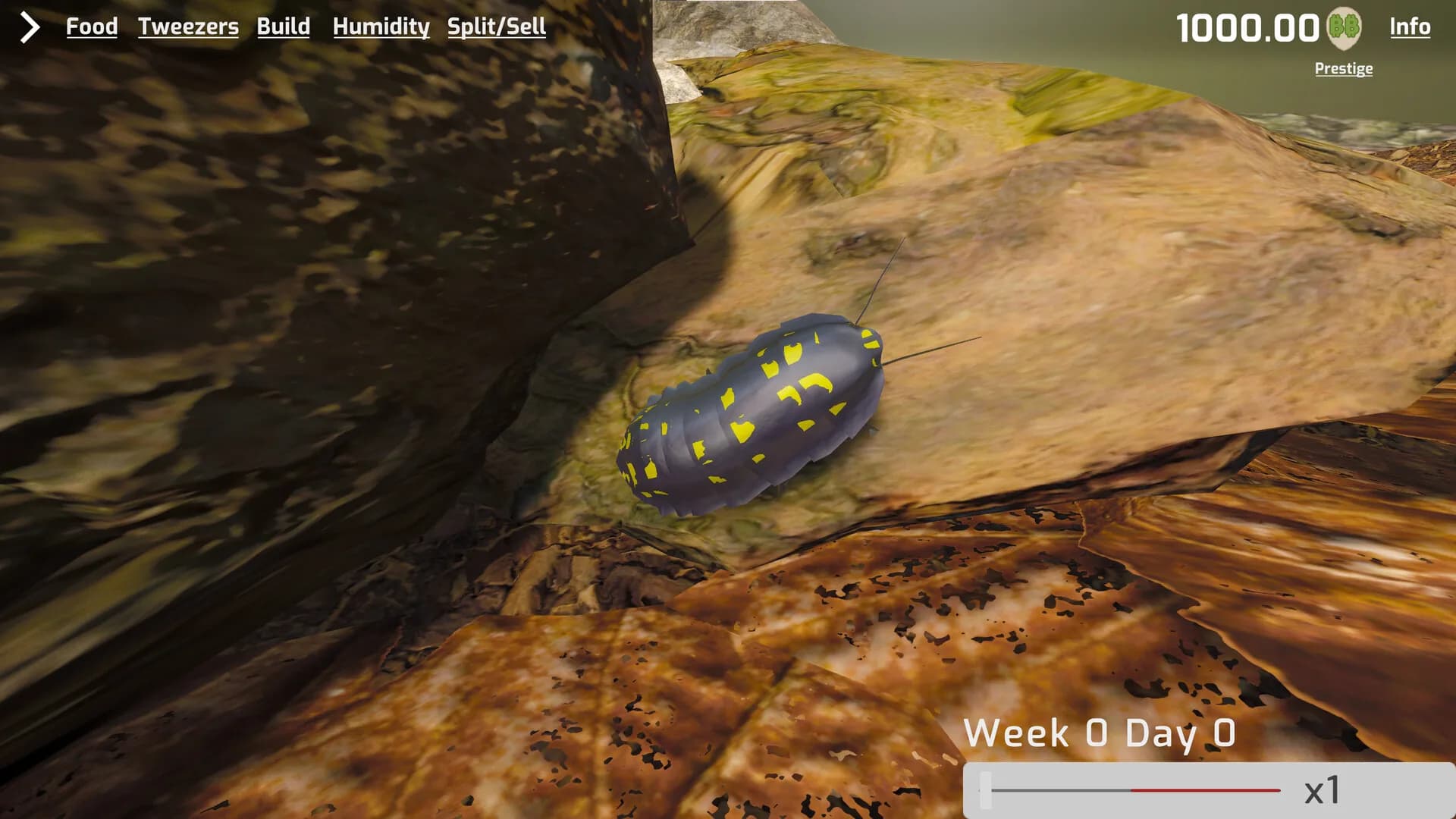 Isopod Keeping Simulator görsel 2