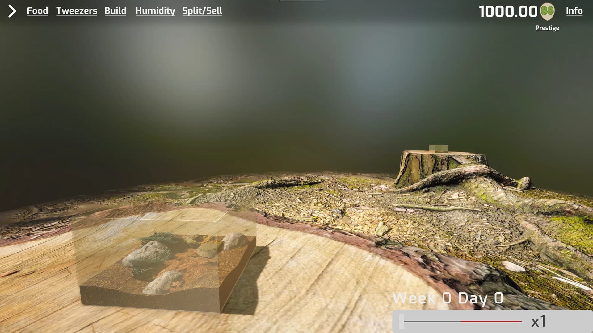 Isopod Keeping Simulator görsel 3